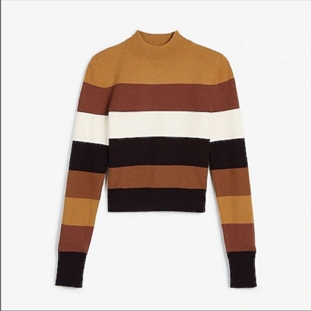 Express X Negin Mirsalehi Cropped Stripe Mockneck Sweater
